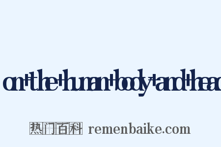 on the human body and head是什么意思的图片